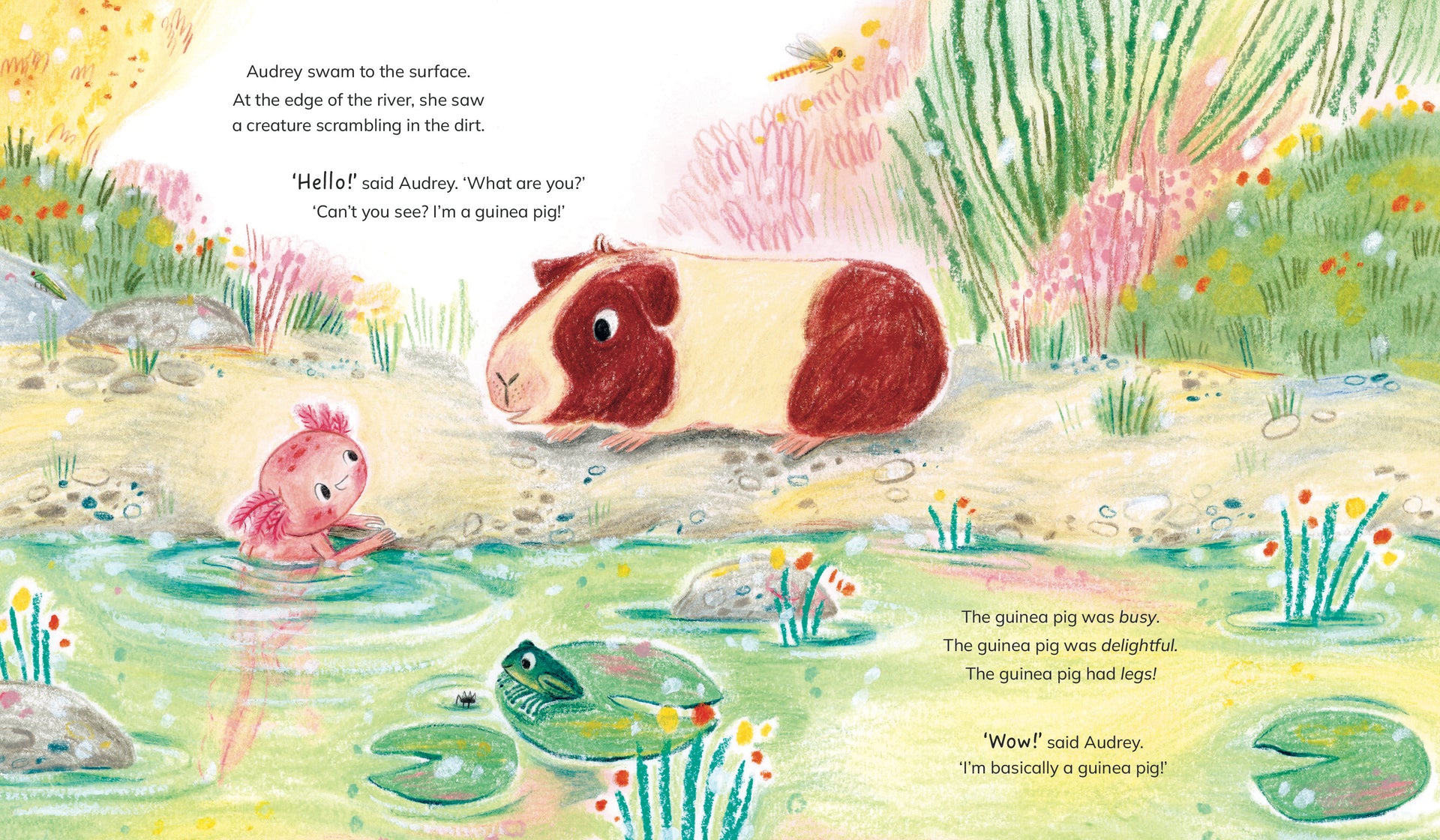 Almost a Fish by Julianne Negri & Evie Barrow – Little Book Press