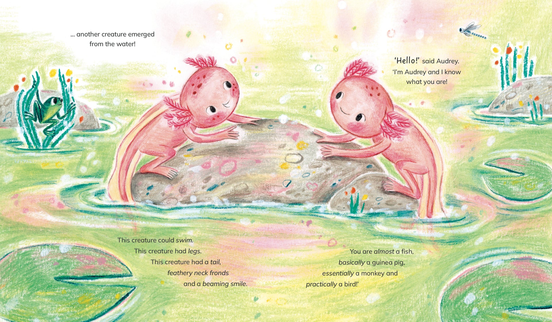 Almost a Fish by Julianne Negri & Evie Barrow – Little Book Press