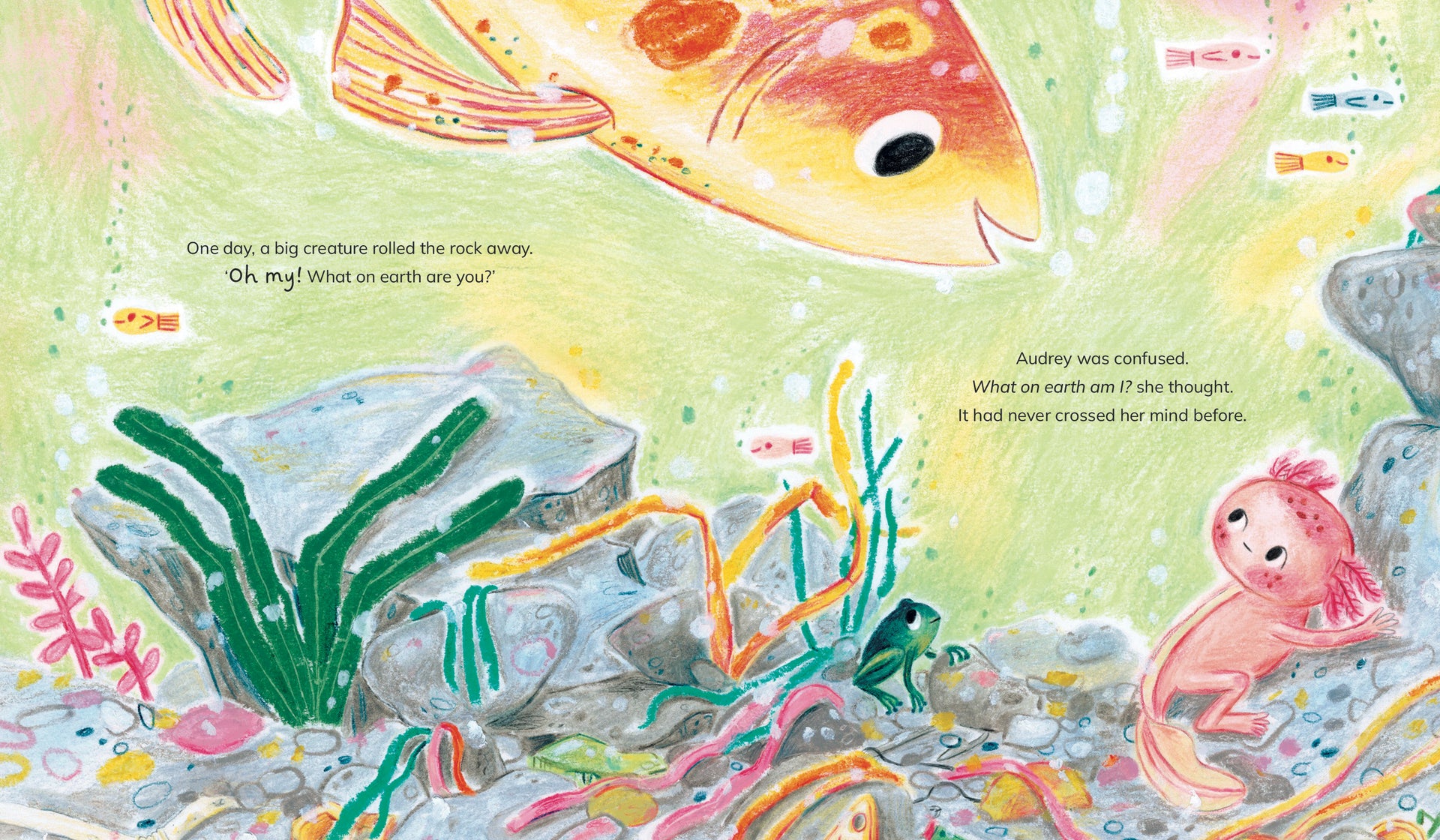 Almost a Fish by Julianne Negri & Evie Barrow – Little Book Press