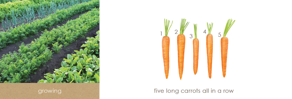 I Spy Food book. Peer through the magnifying glass with your child to identify the five food groups as they grow, ripen, graze, forage and are harvested with our food friends Penny Pear, Casper Carrot, Annie Apple, Eric Egg, Chester Cheese and Betty Bread. 
