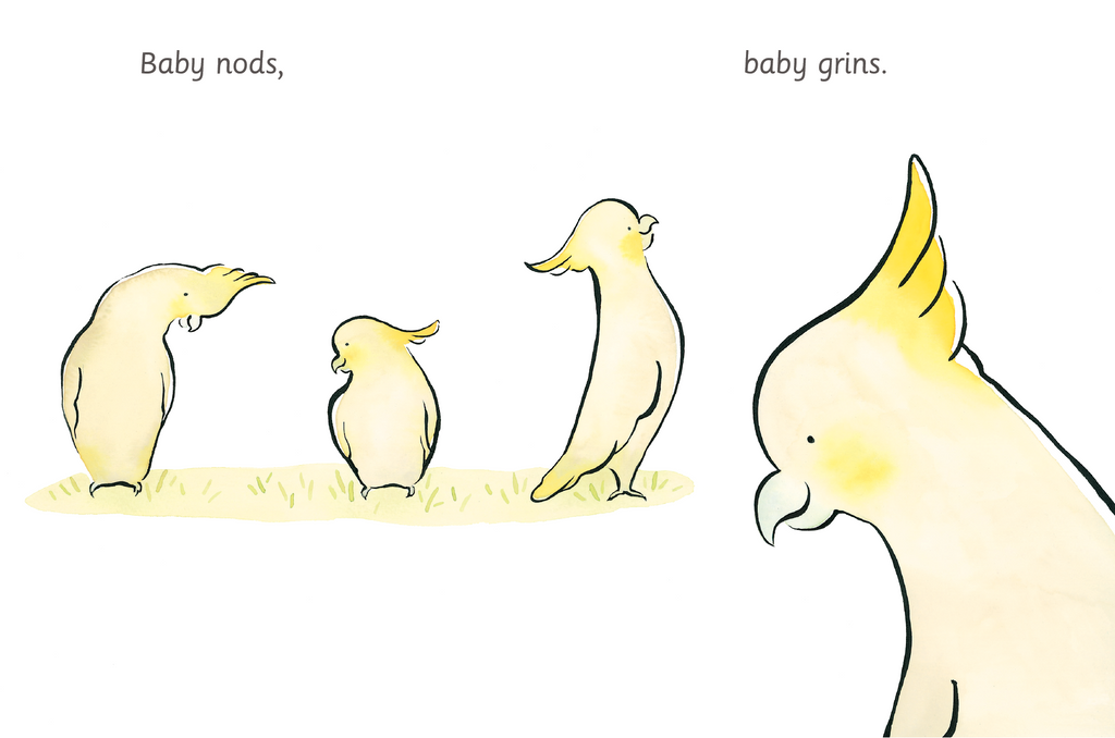 Board book, writtten by Katrina Germein and illustrated by Doris Chang, Baby Dance is a beautiful and versatile board book.