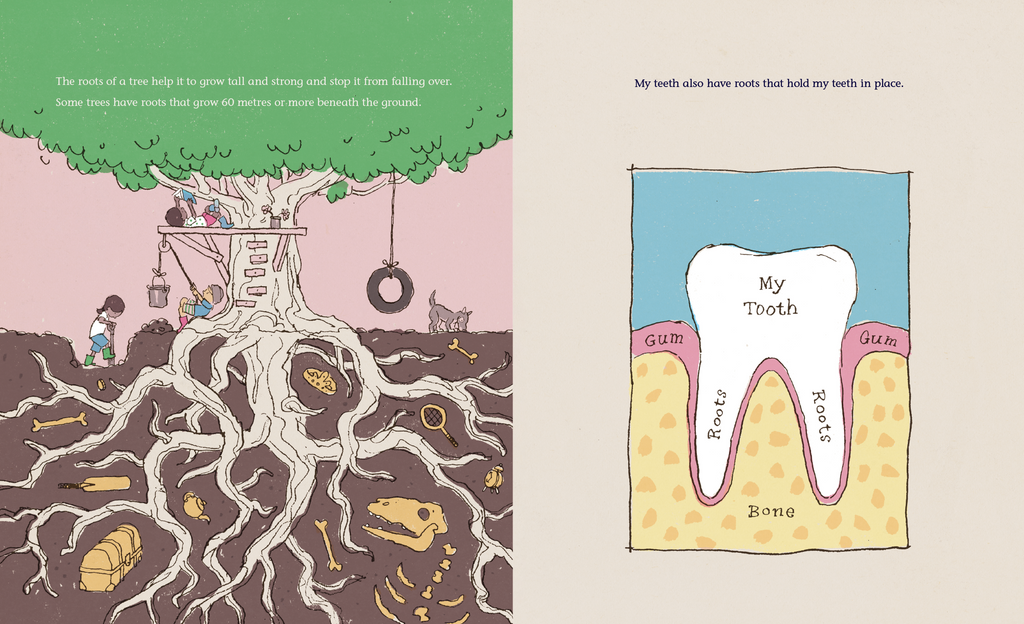 My Teeth book spread. My Teeth is a non-fiction picture book all about teeth! 